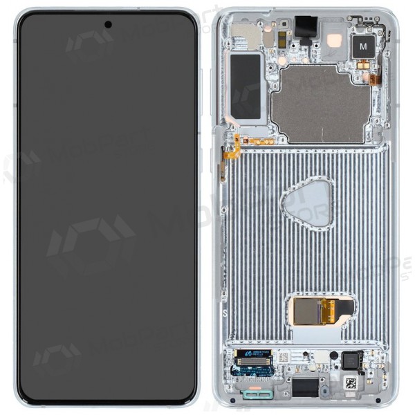 Samsung Galaxy S21+ scherm (zilverachtig) (met een frame) (origineel)